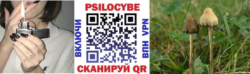 мега ТОР  Сердобск  Галлюциногенные грибы мухоморы 