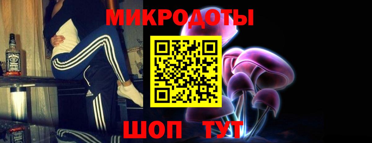 Галлюциногенные грибы Psilocybine cubensis Сердобск
